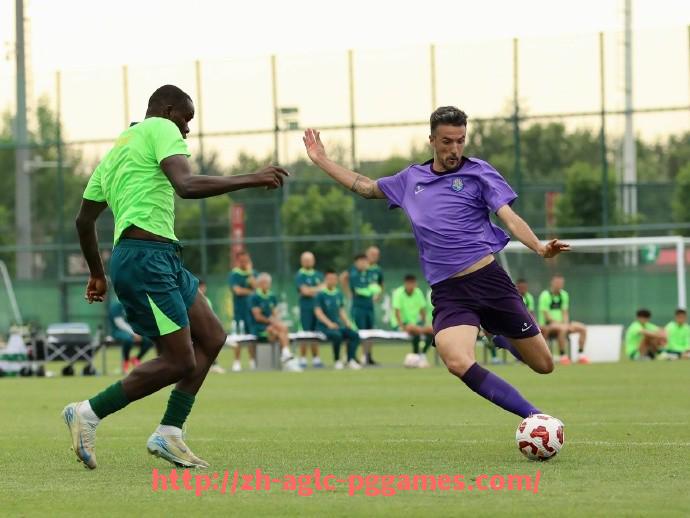 PG模拟器官方网站-荡气回肠的意甲球队传奇故事与辉煌瞬间